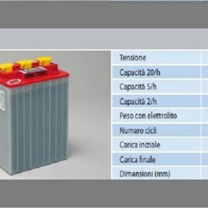Batería tubular 6 V - 270 Ah / NBA STRONG